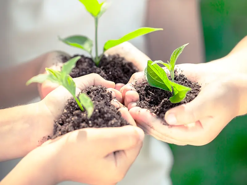 品牌故事 品牌故事